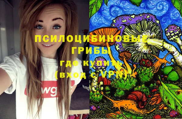 эйфоретик Беломорск