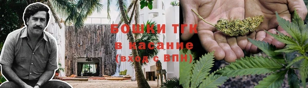 стаф Баксан